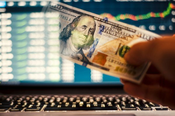 Guide d'achat : investir dans un axolotl, coûts et conseils